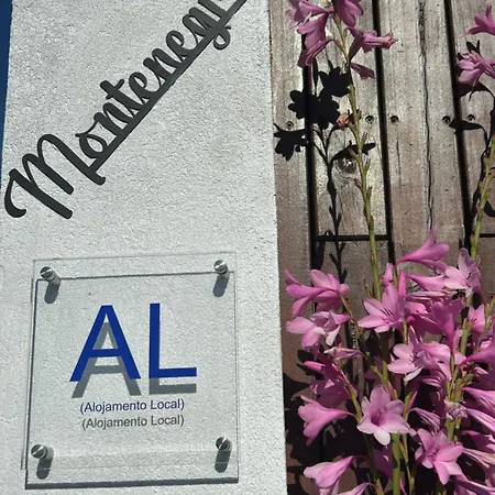 Al Montenegro Pensión