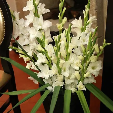 Pensión Al Montenegro Paredes de Coura