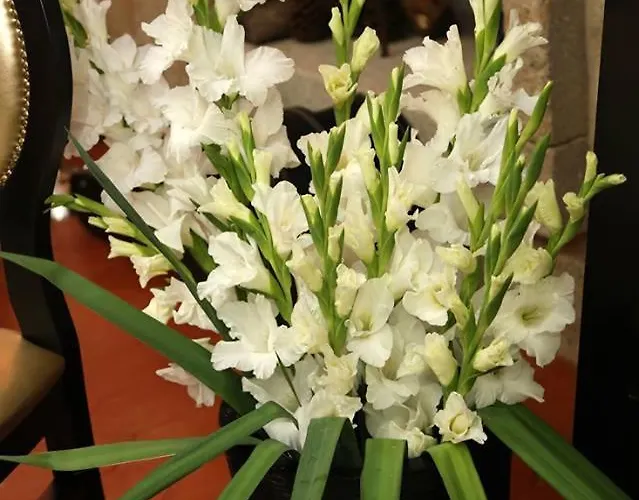 Affittacamere Al Montenegro Paredes de Coura